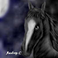 Caricature cheval